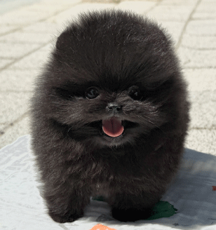 메인이미지슬라이드
