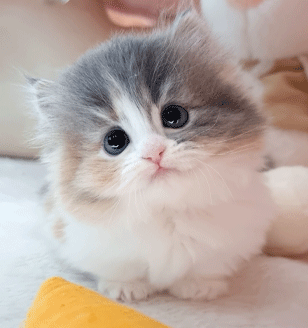 메인이미지슬라이드